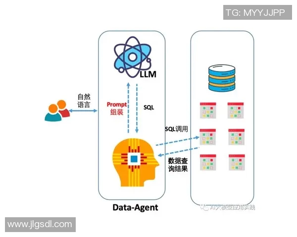 深入探讨上海篮球队实力表现的数据分析与未来发展潜力